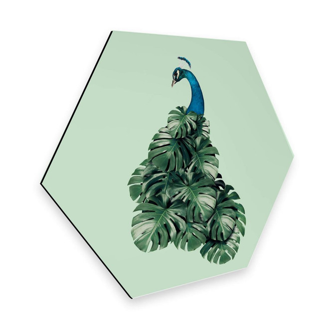 Hexagon - Alu-Dibond Loose - Monstera Bird