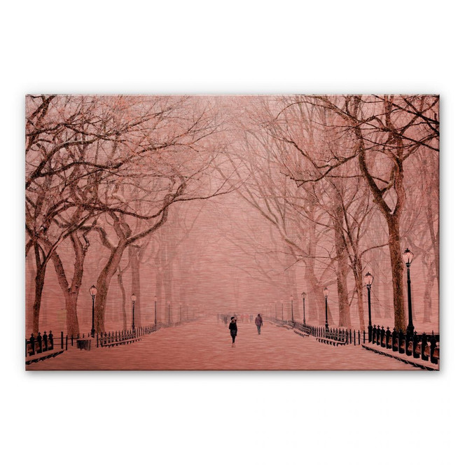 Alu-Dibond-Kupfereffekt - Winter im Central Park