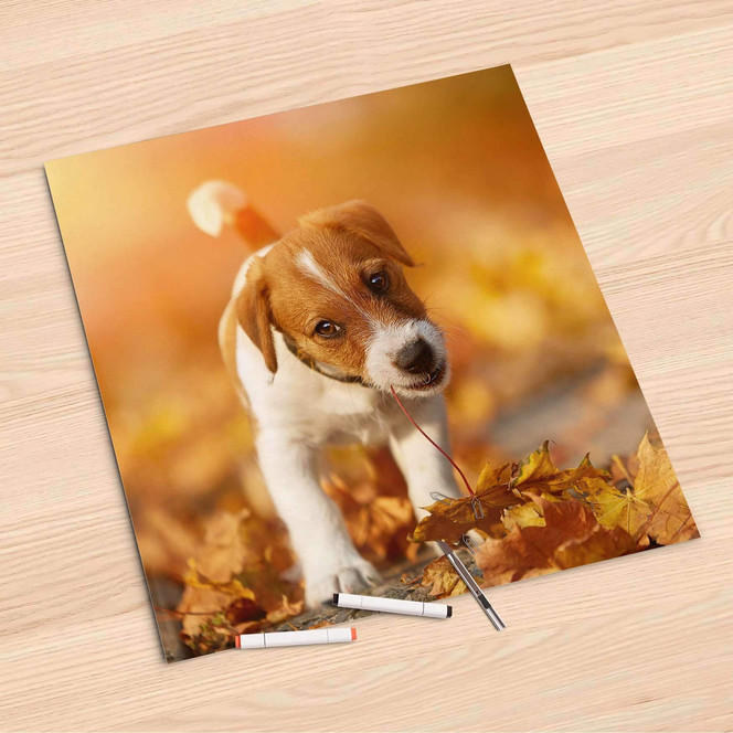 Folienbogen (60x60cm) - Jack the Puppy- Bild 1