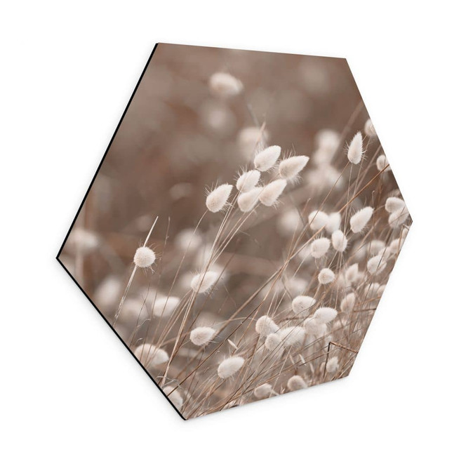 Hexagon Wandbild Zarte Gräser im Herbstlicht - Collins - Alu-Dibond