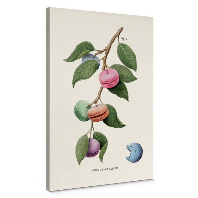 Leinwandbild Loose - Macaron Pflanze