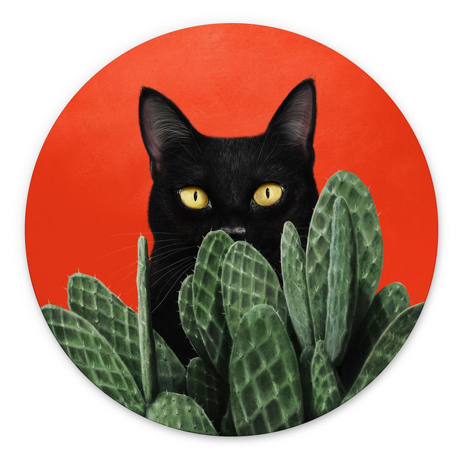Wandbild Schwarze Katze im Kaktus-Versteck - Korenkova - Alu-Dibond Rund