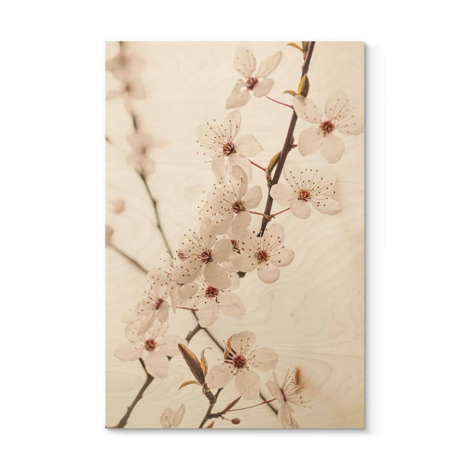Holzbild Zweig mit weissen Kirschblüten - Sisi & Seb
