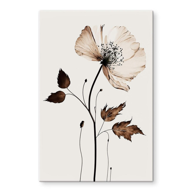 Acrylglasbild Blumen - Trockenblüte in Creme - Treechild