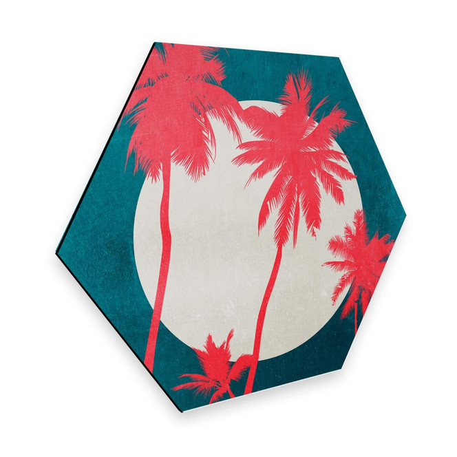 Hexagon Alu-Dibond Kubistika - Karibische Nacht unter Palmen