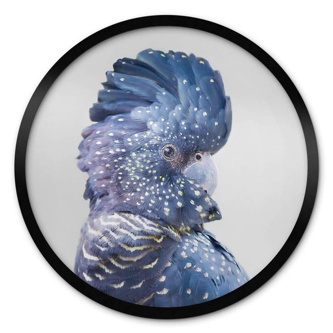Poster Sisi & Seb - Blauer Kakadu - Rund