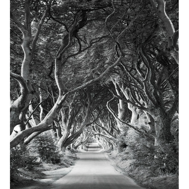 Fototapete Forevenue