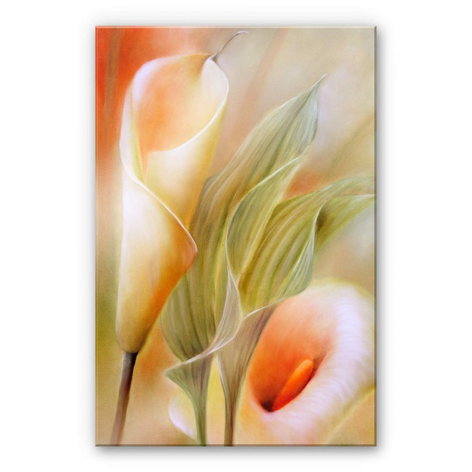 Acrylglasbild Schmucker - Callas