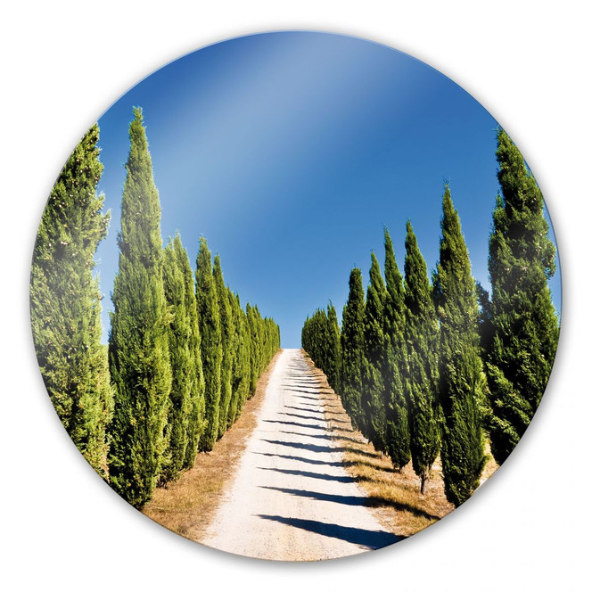 Glasbild Cypress Road - rund