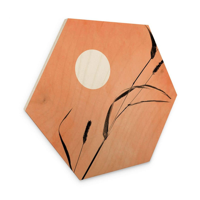 Hexagon Holzbild Schilf im pfirsichfarbenen Sonnenschein - Kubistika