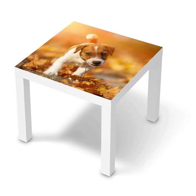 Möbelfolie IKEA Lack Tisch 55x55cm - Jack the Puppy- Bild 1