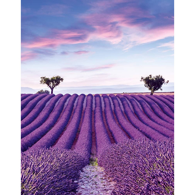 Fototapete Landschaft, Felder Grafisch Natur matt in Lila für Wohnzimmer 2.70 x 2.12m