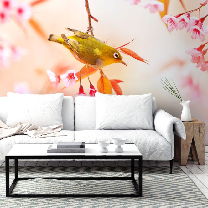 Fototapete Vogelgezwitscher in der Kirschblüte
