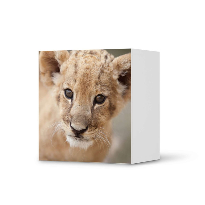 Klebefolie IKEA Besta Regal 1 Türe - Simba- Bild 1