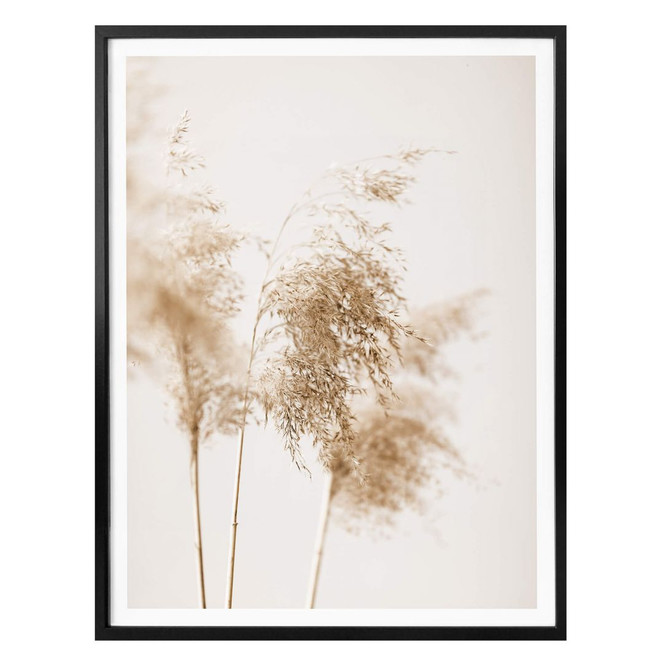 Poster 1X Studio - Sommergräser