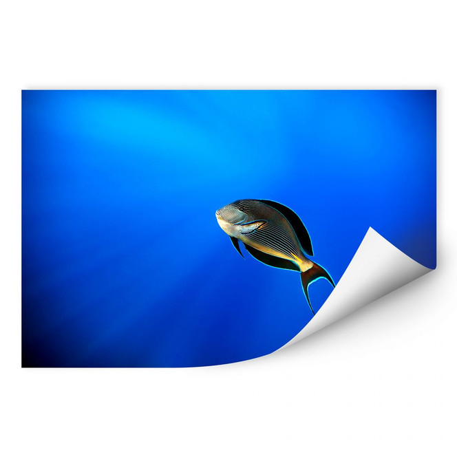 Wallprint Catta - Deep Ocean