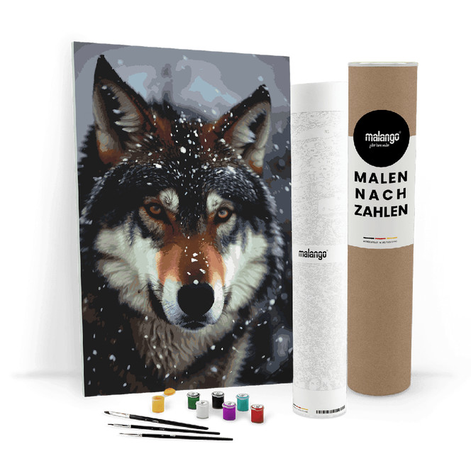 Malen nach Zahlen Leinwandbild - Wolf Waldo