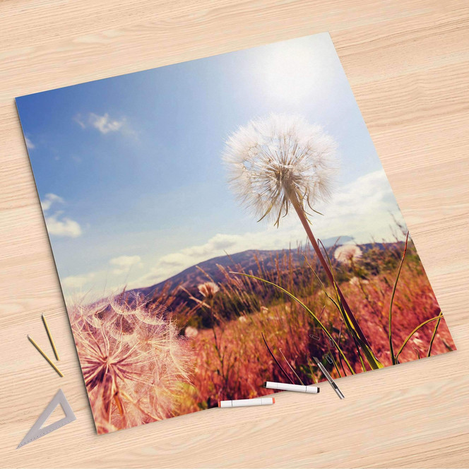 Folienbogen (90x90cm) - Dandelion- Bild 1