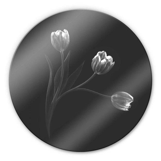 Glasbild Pan - Tulpentrio - Rund