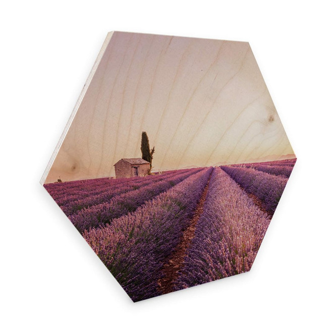 Hexagon - Holz Birke-Furnier - Lavendula