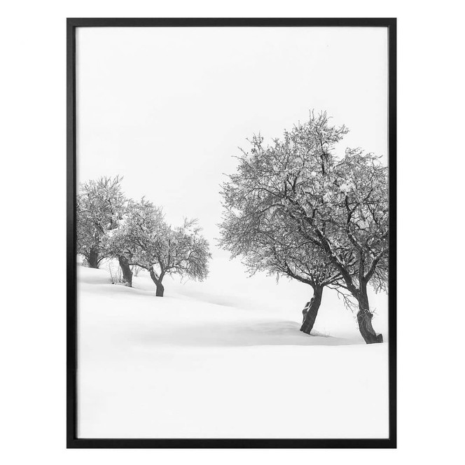 Poster Carrillo Lopez - Weisse Landschaft- Hochkant