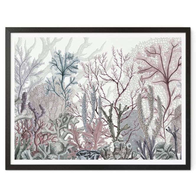 Poster Sir Edward - Meereswunder