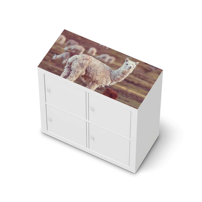 Möbelfolie IKEA Expedit Regal oben - Pako- Bild 1