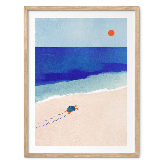 Poster Kleine Schildkröte am Meer - Rivers