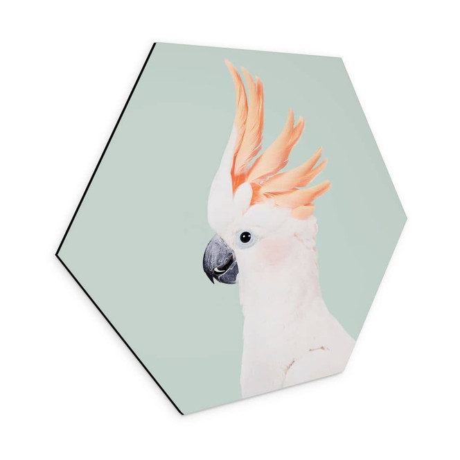 Hexagon Wandbild Tierporträt Rosa Kakadu - Alu-Dibond - Sisi & Seb
