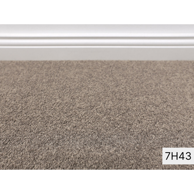 Violetta Vorwerk Teppichboden Meterware in 7H43