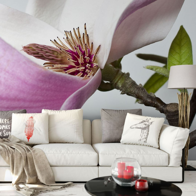 Fototapete Magnolie - 288x260cm - Bild 1