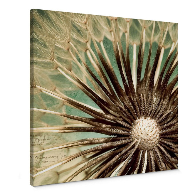 Leinwandbild Pusteblumen-Poesie - quadratisch