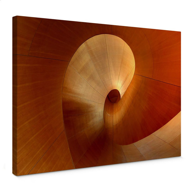 Leinwandbild Shainidze - The Curve