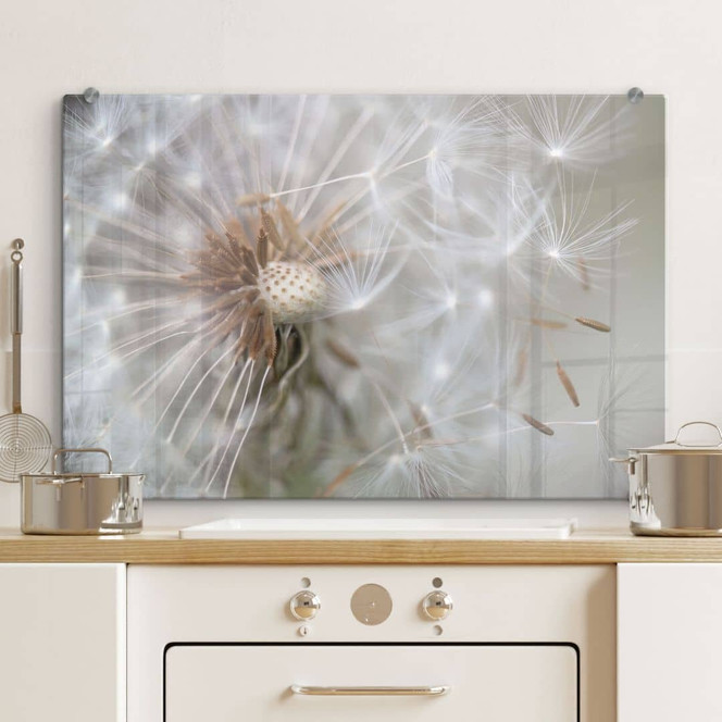 Spritzschutz Delgado - Pusteblume im Flug