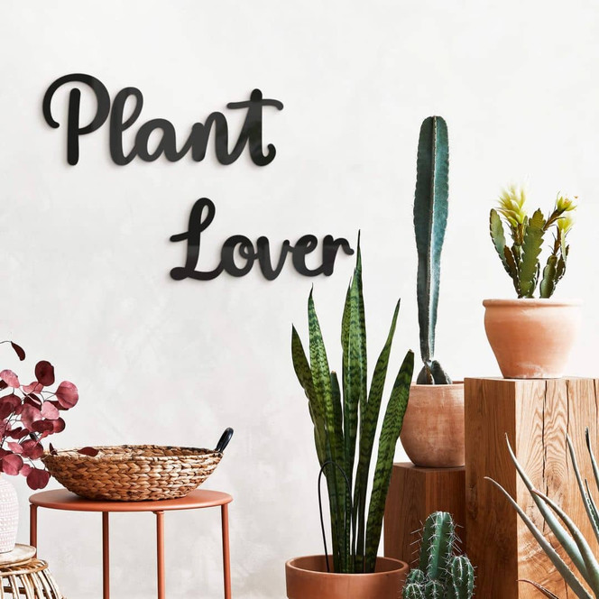 Acryldeko 3D Schriftzug Plant Lover