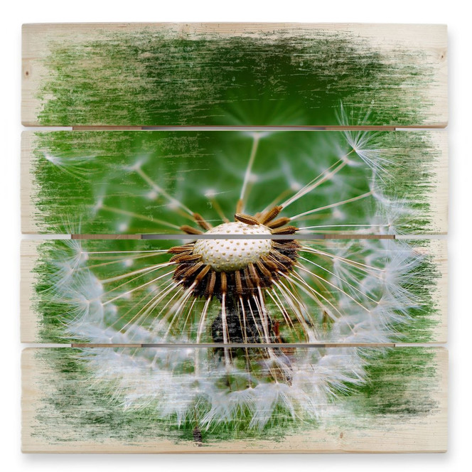 Holzbild Pusteblume im Wind - 40 x 41.5 cm