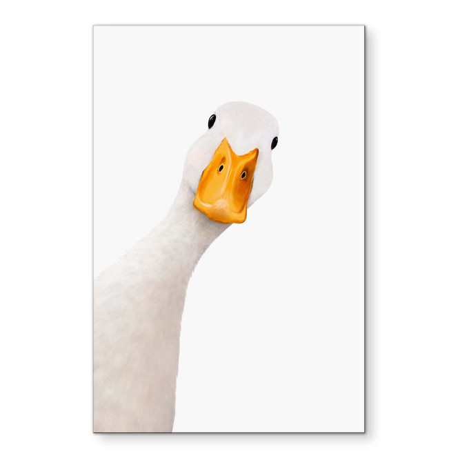 Wandbild Neugierige Gans - Korenkova - Alu-Dibond