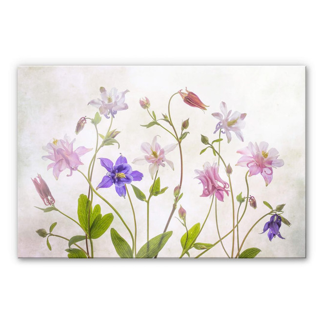 Acrylglasbild Disher - Das Bouquet