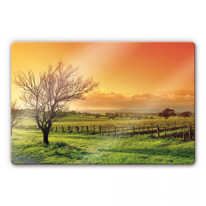 Glasbild Weinlandschaft