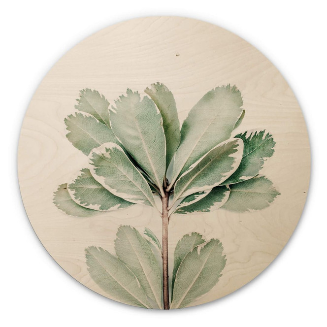 Holzbild Sisi & Seb - Botanik - Rund