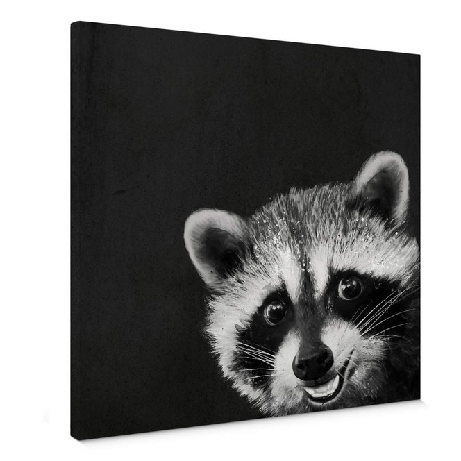 Leinwandbild Graves - Racoon
