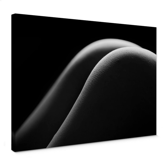 Leinwandbild Sexy Curves