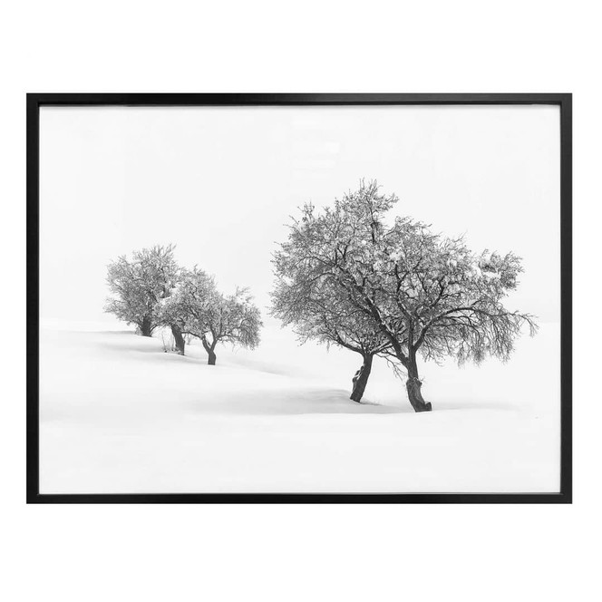 Poster Carrillo Lopez - Weisse Landschaft
