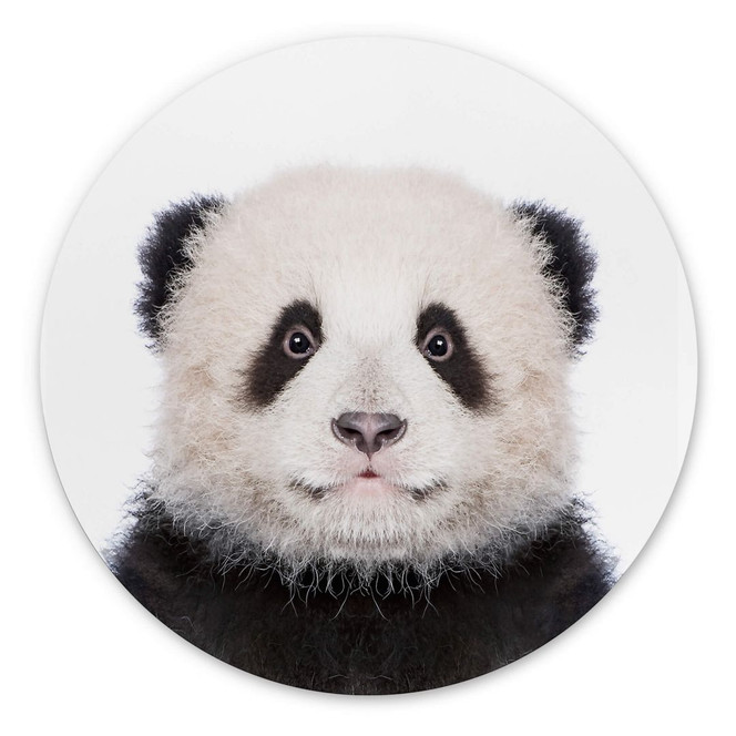 Alu-Dibond Sisi & Seb - Baby Panda - Rund