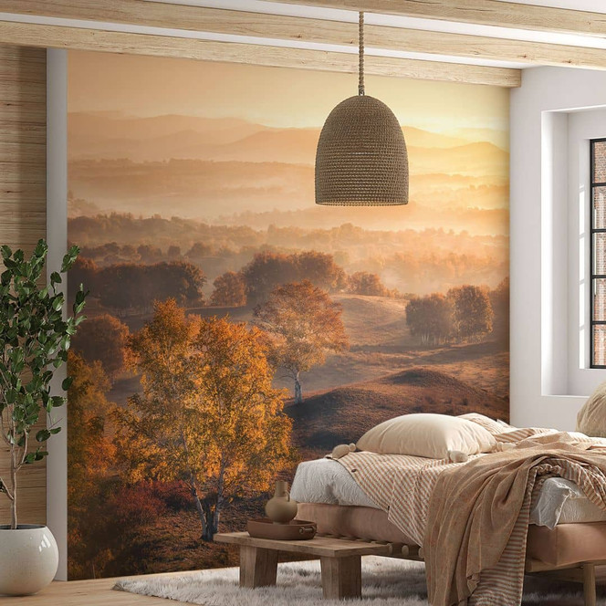 Fototapete mit Landschaft - Birkenbäume im goldenen Morgentau - Cui