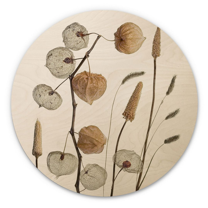 Holzbild Getrocknete Lampionblumen - Disher - Rund
