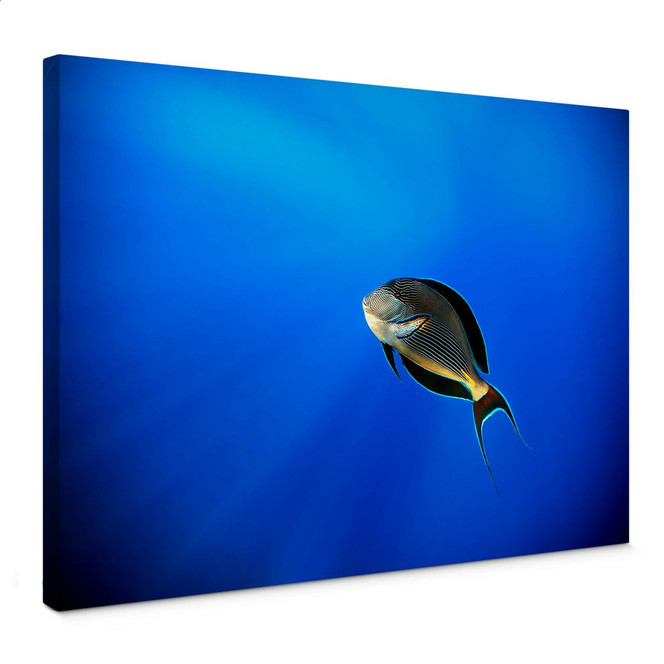 Leinwandbild Catta - Deep Ocean