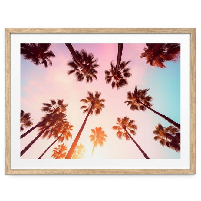 Natur Poster California Dreaming mit Palmen-Blick - Hugonnard