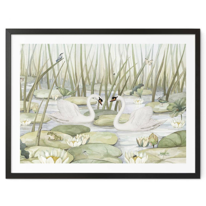 Poster Zwei Schwäne im Teich - Kikki Belle