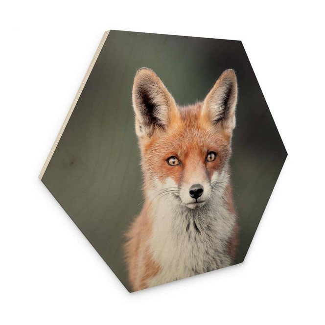 Hexagon - Holz van Duijn - Fuchsaugen
